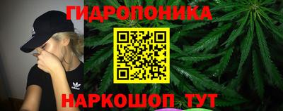 ALPHA PVP Обь