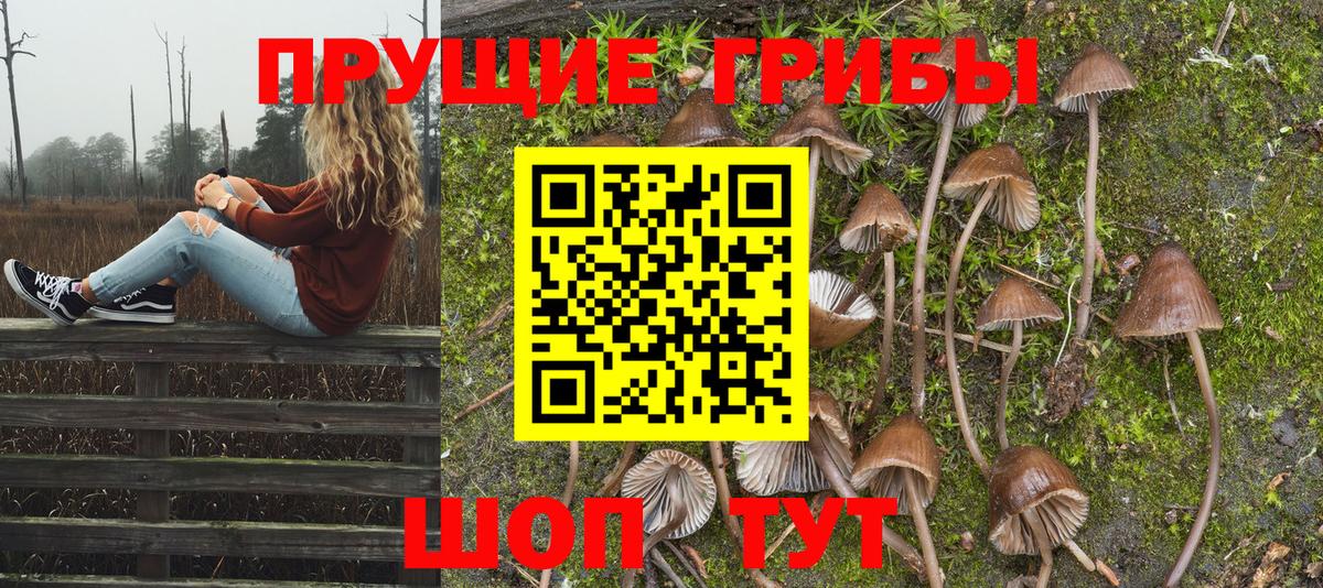 Галлюциногенные грибы Psilocybine cubensis  Вход с VPN  Сочи 